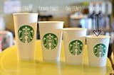 all-four-sizes-starbucks-cups-5172608