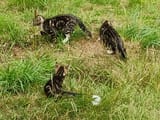 IMG_20250709_141359740