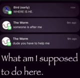 Schizo Worm