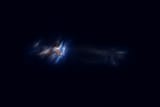 Thread 40692508 OP Image