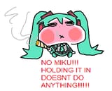 mikunoooo!