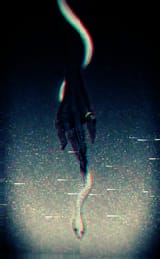 GGZiu4BbQAMivwt-moshed-07-10-21-33-27-258