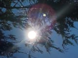 IMG_20250710_162115313