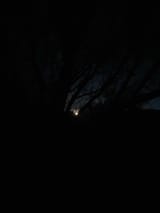 IMG_2578__