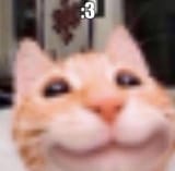 1752214076478524