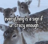 GgzHl1DW4AA3Ghq
