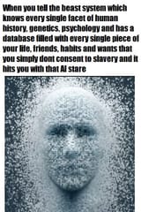 1705556020625572 (1)