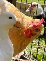 img_2_1744790637013