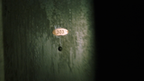 I - The Matrix (1999).mkv_02_02_35.933_25-07-07