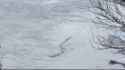 icelandrivermonster (2021_09_17 15_10_42 UTC)_thumb.jpg