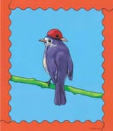 bluebirdredcap