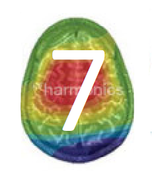 7.jop