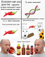 1747888888149293