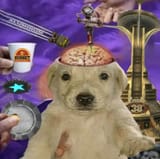 Thread 40706952 OP Image