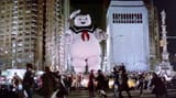 stay_puft