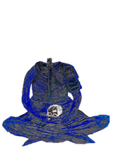 h s2