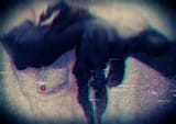 GWPjkqiXoAAwjBd-moshed-07-12-15-31-18-957