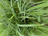 IMG_0120