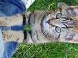 IMG_20250712_103314219