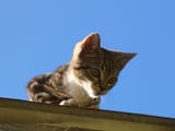 IMG_20250712_103333928