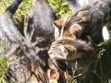 IMG_20250712_103758741