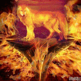 6765070_65f2c