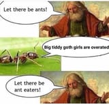 ants