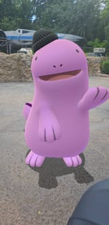 Thread 40713133 OP Image