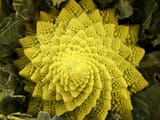 682442374_225312824_1706x1280