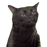 ElGato