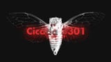 Thread 40715371 OP Image