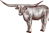 texas-longhorn-bull-cattle-icon-on-white-background-vector-illustrations-2GFEEJ3-2637461310