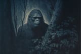 bigfoot