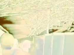 Picsart_25-05-22_18-41-43-380_thumb.jpg