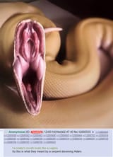 1751186671093371