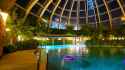 Hailuo_Video_a large indoor tropical paradi_400945517333966853_thumb.jpg