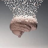brain-data