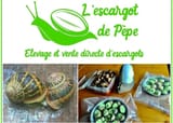 PDT---L-escargot-de-Pepe_9IEz4VN