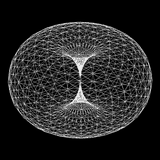 toroid-lattice-psyche