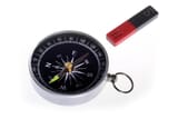 compass-and-magnet-cordelia-molloy