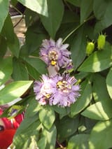 IMG_20230629_131705