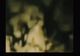 771)_1