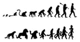 Evolution