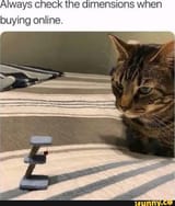 erm