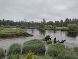 IMG_20240609_105613960_HDR
