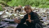 grizzly-1