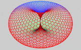 torus-moving (1)