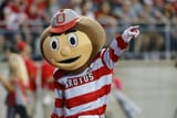 BRUTUS