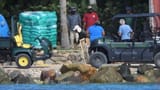 Epstein Island Shipment Drone Photo