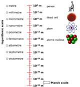 plank scale